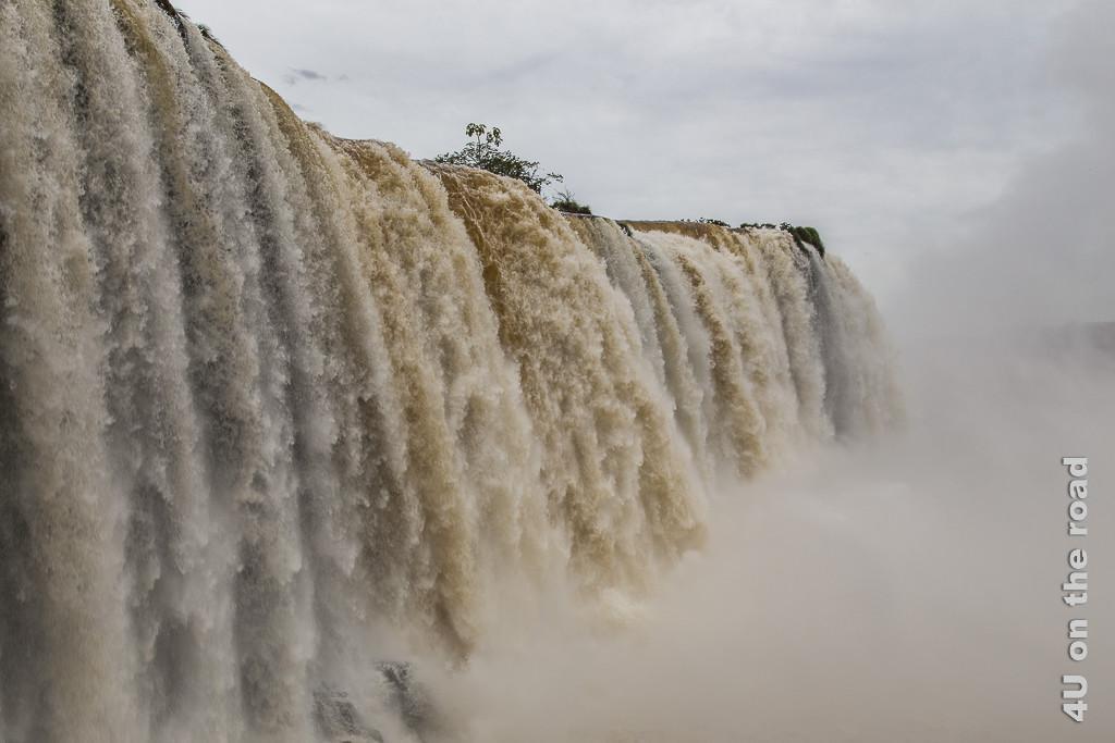 Bild Iguazu, Brasilianische Seite - Neben dem Wasserfall, der in breiter Front in weissen und braunen Strömen über mehr als 30 Meter herabstürzt. Davor eine grosse Gischtwolke