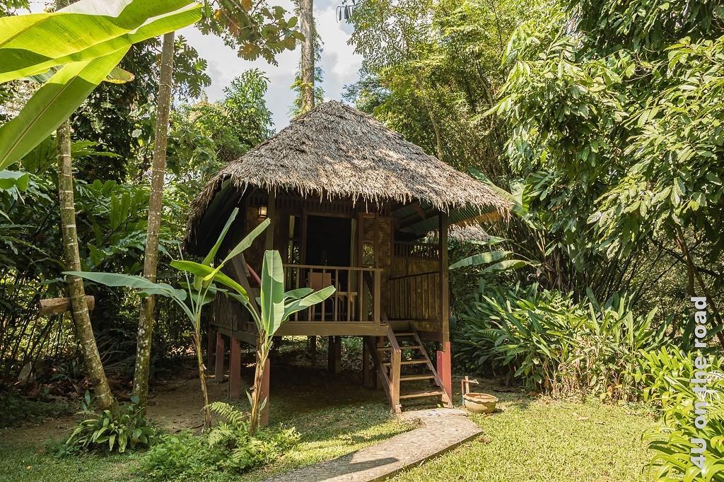 Bild Our Jungle House im Khao Sok Nationalpark – Hütte am Fluss