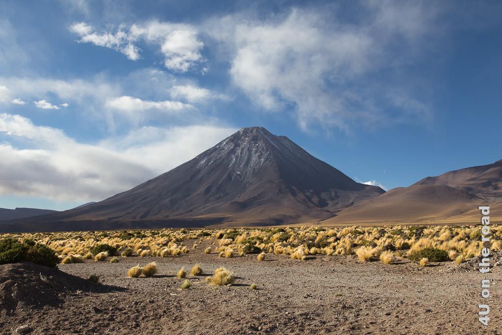 Bild Entlang des Weges nach San Pedro de Atacama - zeigt majästetischer Kegelvulkan mit Puderzuckerschnee vor gelben Grasbüscheln, blauer Himmel mit Wolken