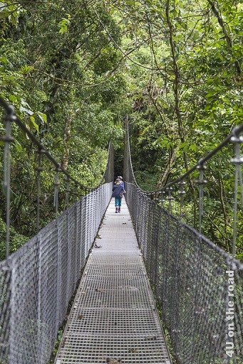 Bild Hängebrücke im Hanging Bridges Park, zeigt eine lange an Stahlseilen befestigte Hängebrücke durch den Dschungel