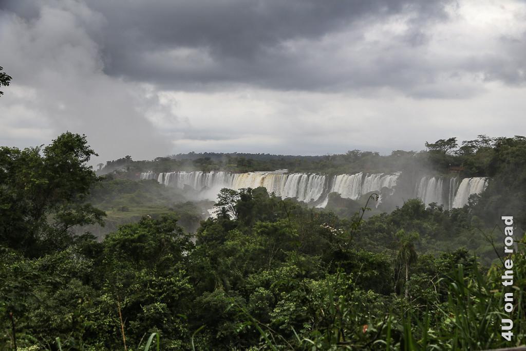 Bild Iguazu - Blick über den Urwald hinweg auf die breite Front der Wasserfälle