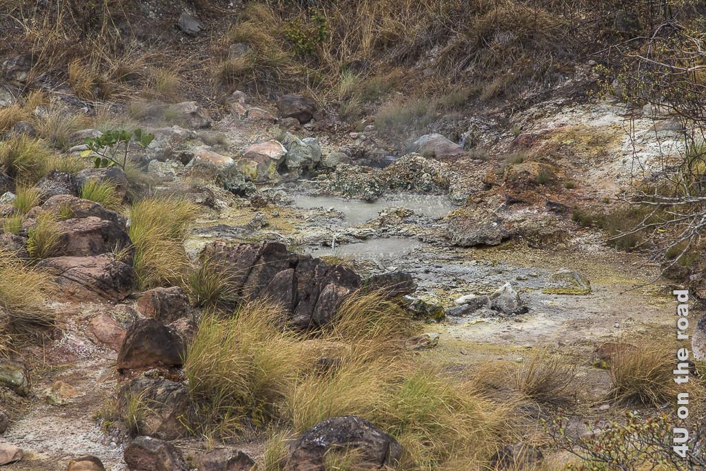 Bild Auch dieser Tümpel ist warm und köchelt, Rincon de la Vieja Nationalpark zeigt Tümpel umgeben von bunten Steinen mit aufsteigenden Blasen