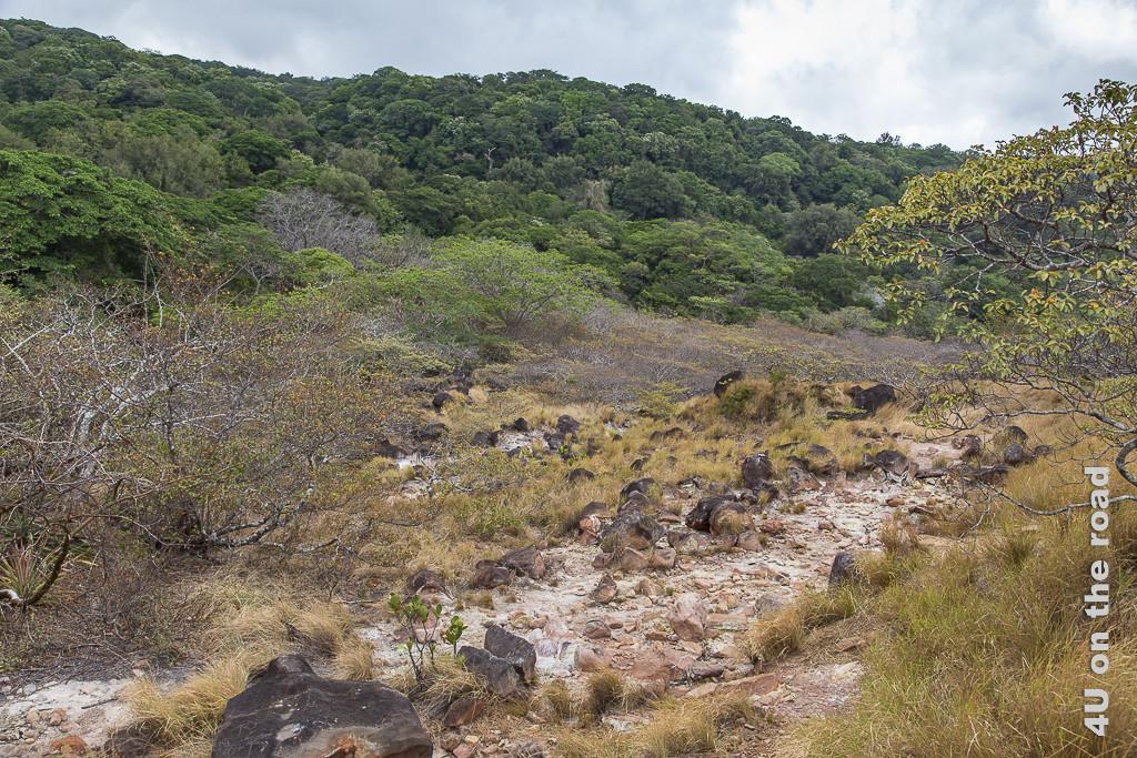 Bild Der Weg über die offene Ebene im Rincon de la Vieja Nationalpark zeigt im Hintergrund grünen Regenwald, der in eine Fläche mit trochenem Gras und steinen übergeht.