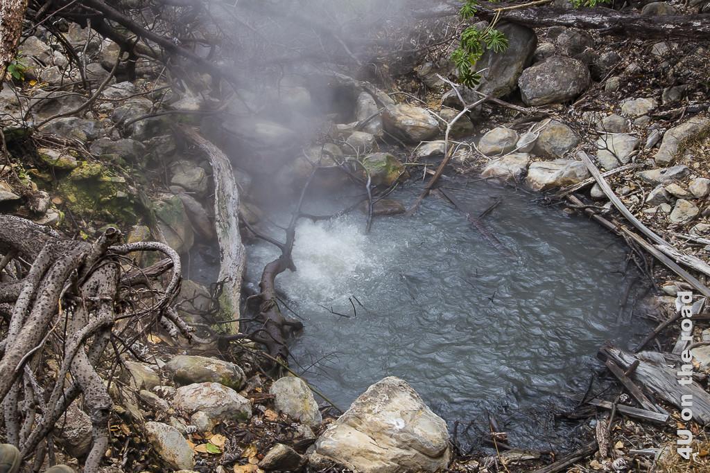 Bild Kochendes Wasserloch im Dschungel, Rincon de la Vieja Nationalpark