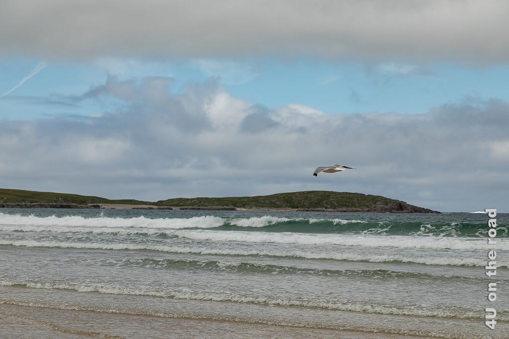 Bild Ballyhiernan Bay Wellen mit Möve, Fanad Peninsula zeigt sieben aufeinanderfolgende Wellen von einer Möve überflogen.