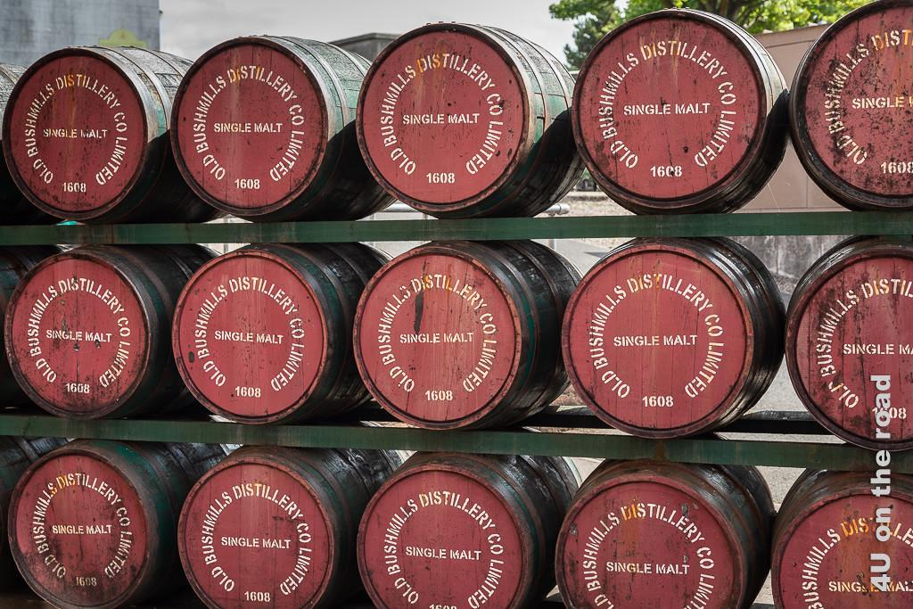 Bild Bushmills - Fässer zeigt in drei Reihen übereinander gestapelte Whiskey Fässer mit rotem Deckel und weisser Schrift