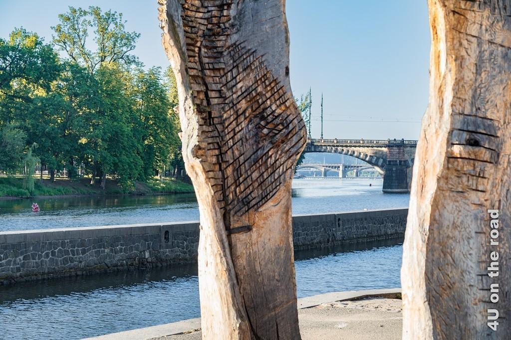 Holzskulpturen und Brücken, Kampa Insel, Prag zeigt zwei bearbeitete Holzstämme, durch die man drei Brücken über die Moldau sieht. Links ist das Grün der Strelecky Insel im Bild Ausschnitt zu sehen.