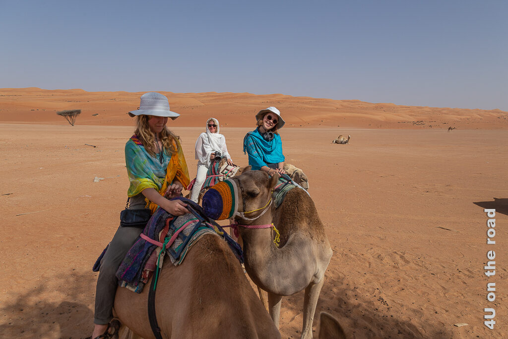 Fertig für den Kamelritt in die Wahiba. Das Bild zeigt die drei Damen zum Schutz vor der Sonne verhüllt auf ihren Kamelen. Auch der gehäkelte Maulkorb ist schön zu erkennen.