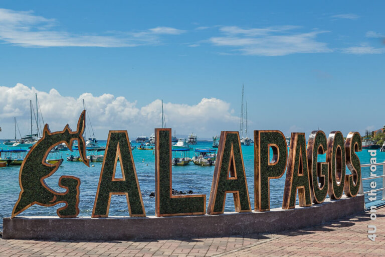Galápagos Inseln mit dem Katamaran erkunden – ein Reisebericht