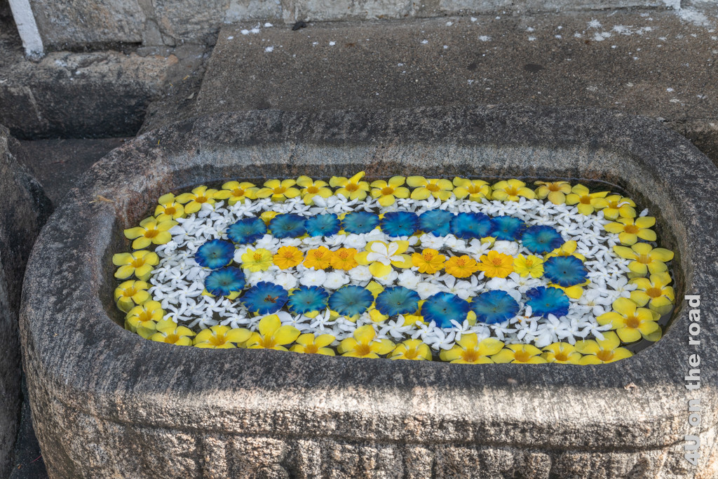Mit Blüten geschmücktes steinernes Wasserbecken. Die Blüten decken folgen der ovalen Form des Wasserbeckens gelb, weiss, blau, weiss und in der Mitte wieder gelb.