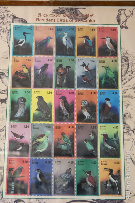 Briefmarken Sri Lanka