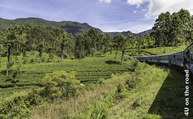 Feature Bild Zugfahrt von Kandy nach Nuwara Eliya