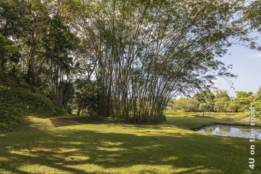 Licht und Schatten, Bambus und kleine Reisfelder im Hintergrund, eine Treppe, die nur scheinbar ins Nichts führt - Lunganga
