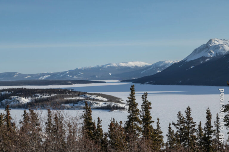Yukon im Winter erleben – eine verrückte Idee?