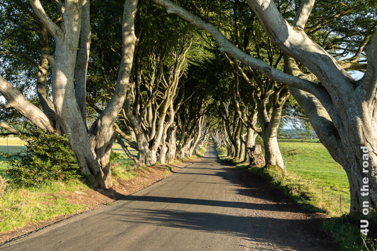 Im County Antrim entlang der Causeway Coastal Route