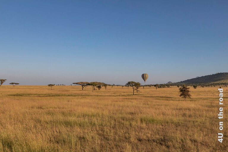 Ballonfahrt und Safari in der Serengeti