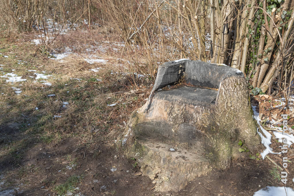 Zum Pausieren beim Winterwandern im Tösstal lädt dieser Sitz im Baumstamm ein.