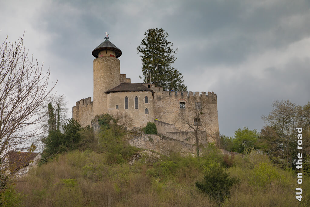 Schloss Birseck steht auf einem Hügel. Das ovale Haus ist aussen an den Zinnen angebaut. Dahinter erhebt sich einen Rundturm mit einem Storch als Wetterfahne. Die Mauer mit den Zinnen steht noch.