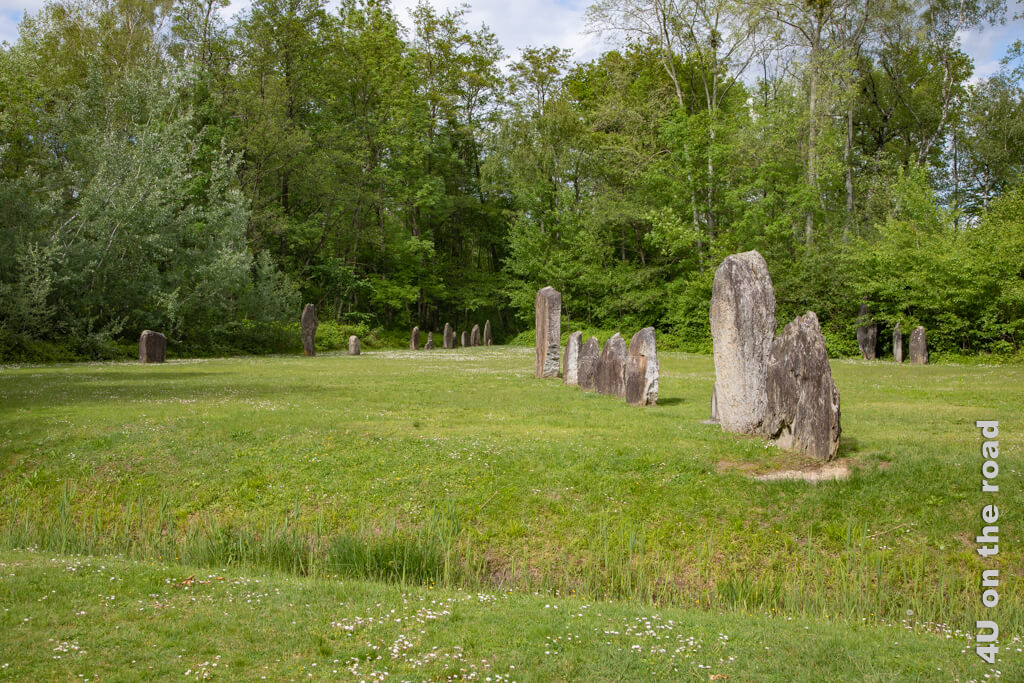 Die Menhire von Clendy - Sehenswürdigkeit von Yverdon-les-Bains