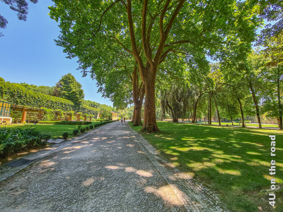 Im Schatten der Bäume führen die Wege zum zentralen Platz rund um den Teich - Cerco Garten, Mafra