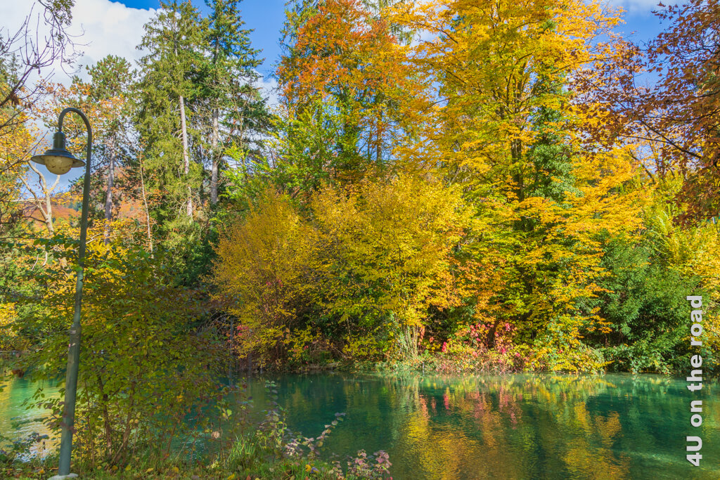 Beginnende Herbstfärbung in gemischter Uferbepflanzung - Ideen zur Herbstfotografie