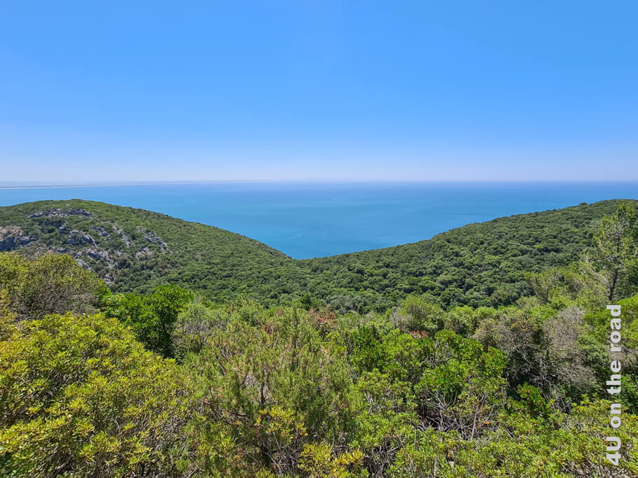 Im Naturpark der Serra da Arrábida wachsen unter anderem Mittelmeerkiefern, Steineichen, Korkeichen und Eichen. Von Lissabon zur Algarve