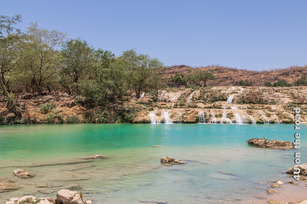 Ein grün-türkises Wasserbecken in welches kleine Kaskaden von Wasser über Kalksteinfelsen fliessen. Üppige Vegetation steht am Rand des Wasserbeckens. Feature Bild Besichtigungstipps Wadi Darbat