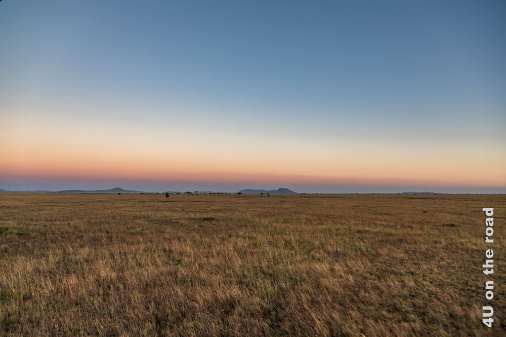 Kurz vor Sonnenaufgang in der Serengeti