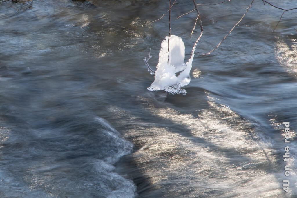An den in den Fluss hängenden Ästen haben sich lustige Eisgebilde gebildet.