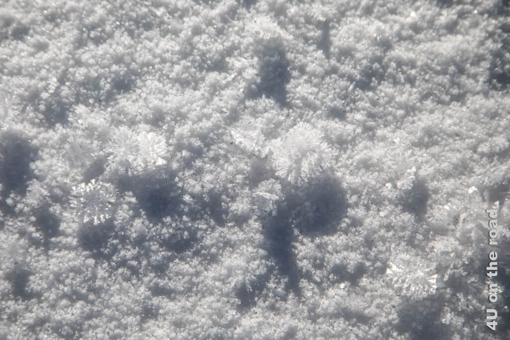 Eiskristallrosetten liegen auf der Schneeschicht.