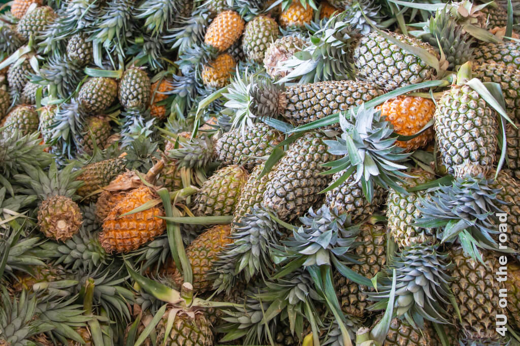 Reife und unreife Ananas liegen auf einem grossen Haufen durcheinander - Reisetipps Sri Lanka von A bis Z - Essen