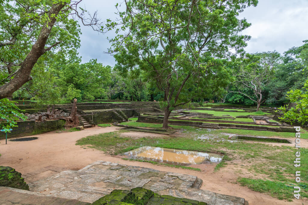 Treppen führen zu vielen Fundamenten auf Grasflächen. Bäume rahmen die Szenerie. - Felsenfestung Sigiriya