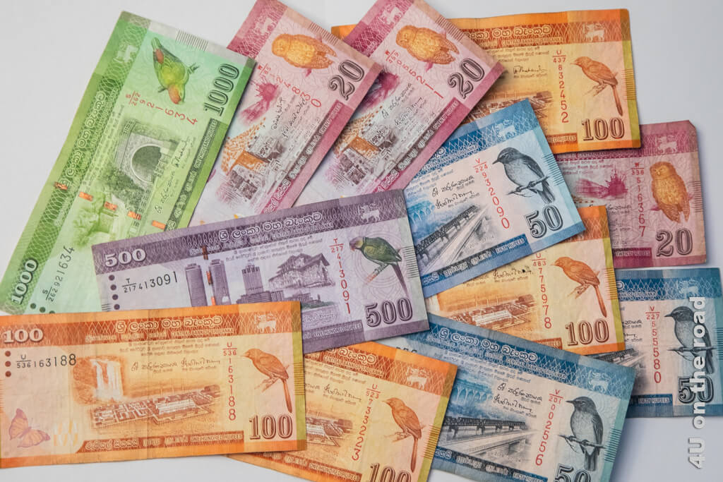 Die farbigen Geldscheine zieren Vögel in Sri Lanka - Reisetipps Sri Lanka A bis Z - Zahlungsmittel