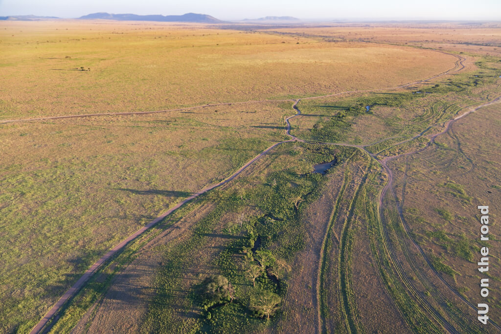 Ein Gewässer mäandert durch die Ebene der Serengeti. Rechts und Links davon ist es grün, während die Farbe der Graslandschaft sonst eher gelb bis orange ist.