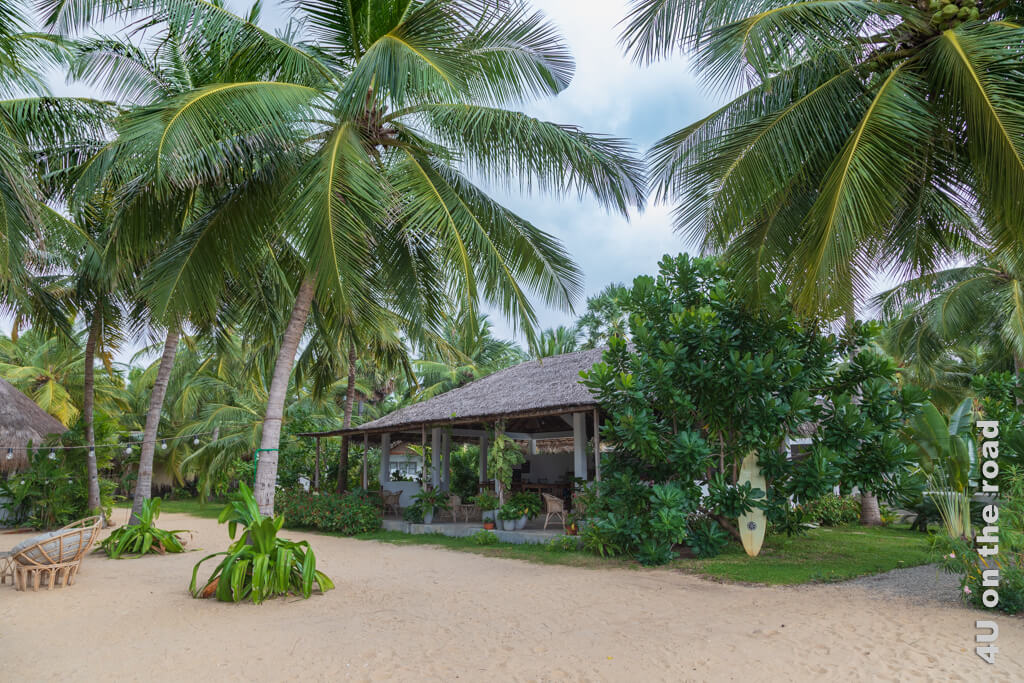 Der gedeckte Essplatz im Rascals Kite Resort ist ein auf Säulen stehender offener Bau mit Strohdach umgeben von Kokospalmen.