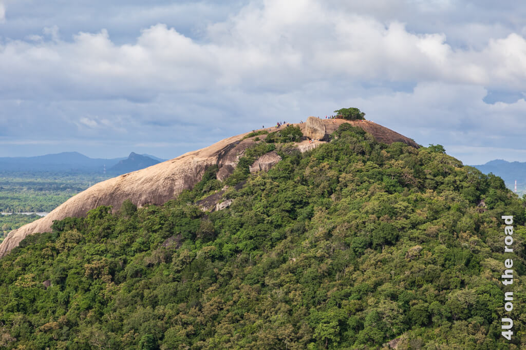 Der Pidurangala Felsen zeigt auf der linken Seite bis etwas über die Mitte den nackten Fels. Etwas unterhalb des höchsten Punktes wurde ein weiteres Felsstück errichtet. 90 Prozent des Felsens ist mit Wald bewachsen.