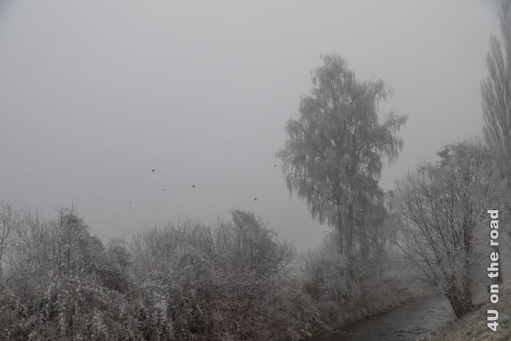 Ein Bach gesäumt von reifbedeckten Bäumen und Büschen. Der Rest der Landschaft verschwindet im Nebel. Vögel fliegen auf.