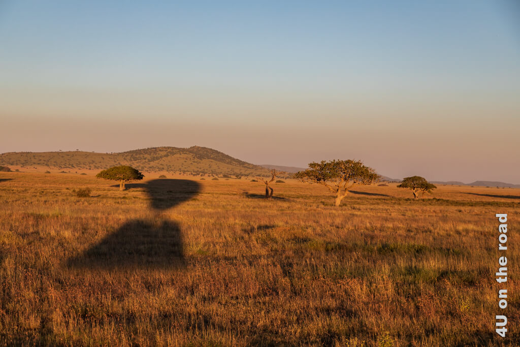Der Ballon wirft seinen Schatten auf die von der Sonne orange gefärbte Landschaft mit vereinzelten Bäumen und einem Hügel. - Ballonfahrt über der Serengeti