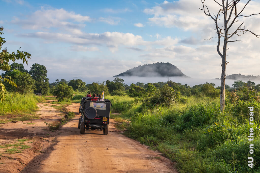 Auf einem trockenen Weg fahren Safari Autos durch eine Gras- und Buschlandschaft. Im Hintergrund erhebt sich ein bewaldeter Hügel aus einem Wolkenband, welches sich wie ein Schal um den Hügel gelegt hat.