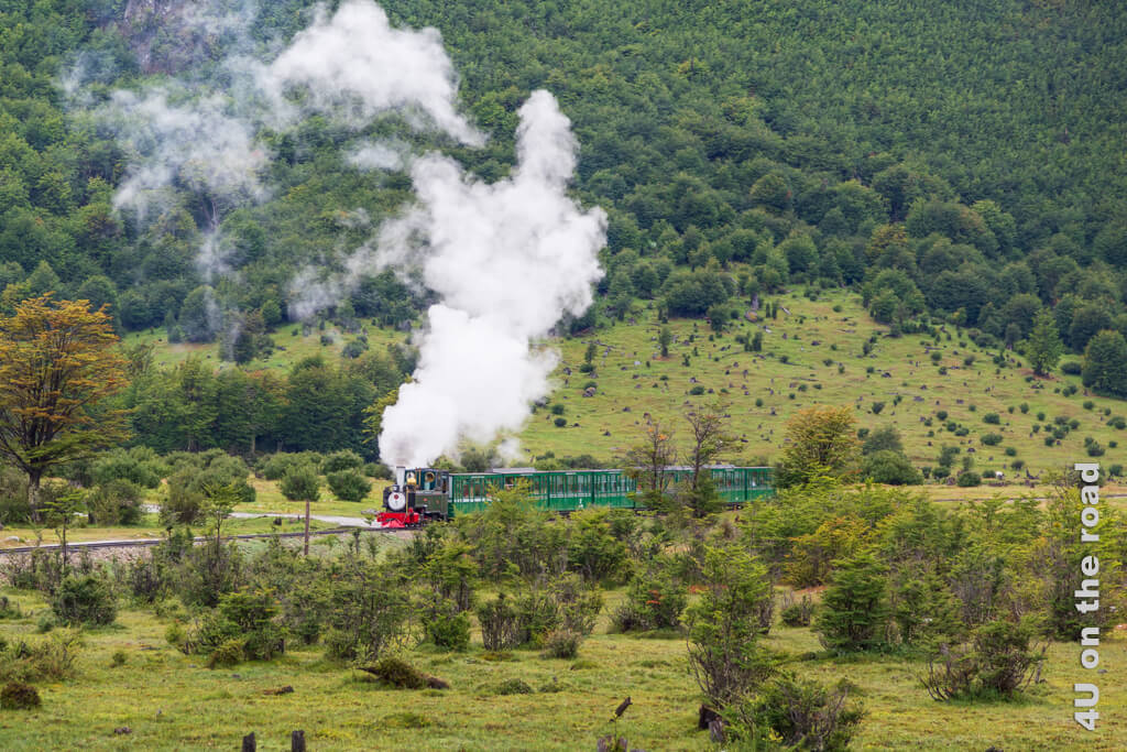 Auf dem Weg zur Wanderung am Rio Pipo begegnet uns der Tren del Fin del Mundo. Eine schwarze Dampflok zieht 6 grüne nostalgische Wagons und hinterlässt grosse Dampfwolken in der Landschaft.