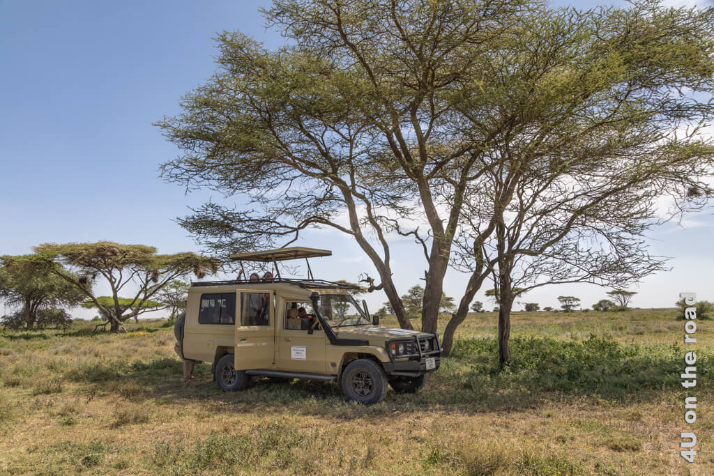 Unser Safari-Fahrzeug steht mit aufgeklappten Dach im Schatten einer Schirmakazie noch westlich des Lake Ndutu.