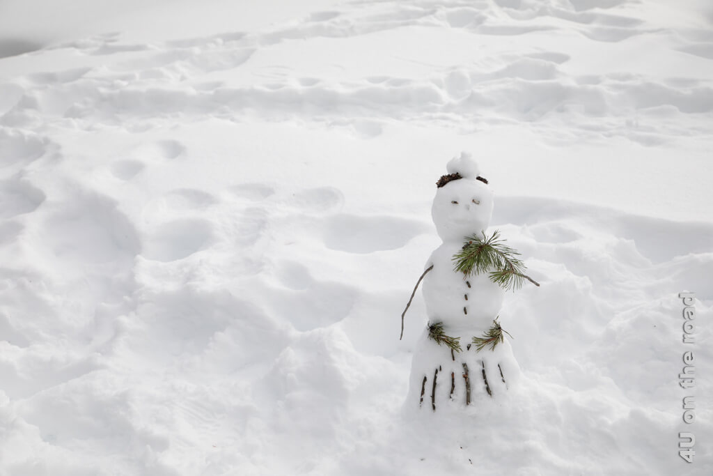 Ein kleiner Schneemann entlang des Fototrails Sörenberg mit Kiefernästen als Armen, Holzstücken als Kleidung und Tannenzapfen als Frisur.