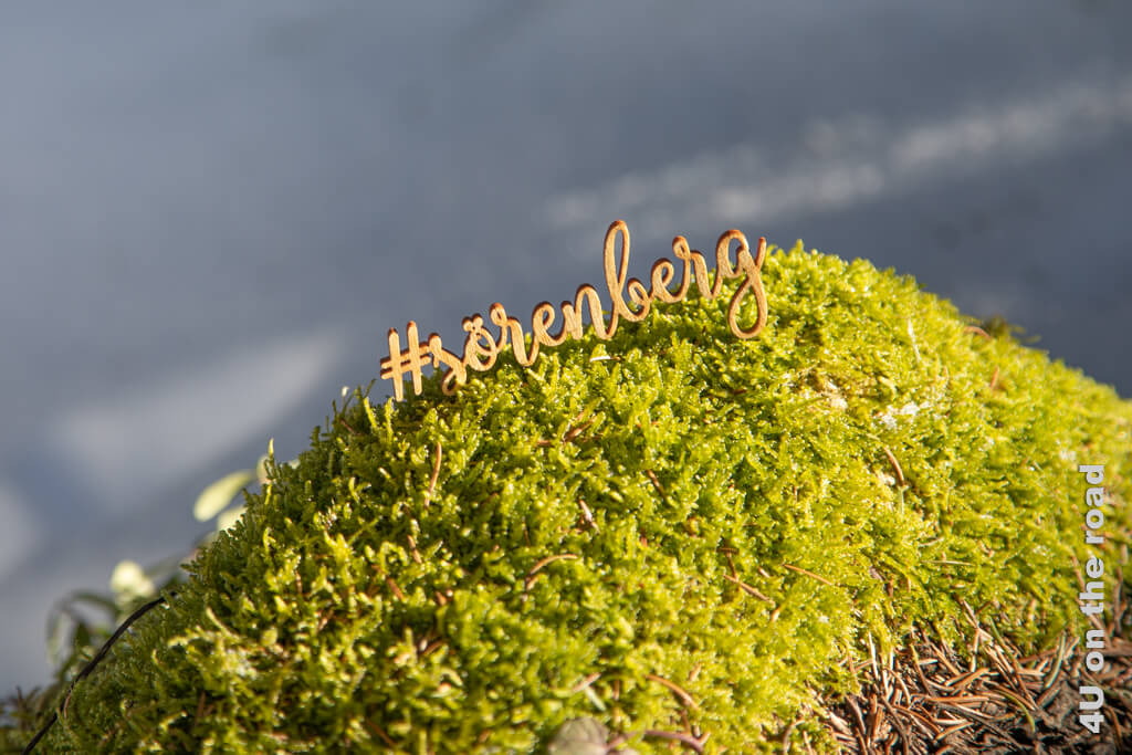 Der Schriftzug #sörenberg kommt öfter mal auf dem Fototrail zum Einsatz. Hier auf einem mit Moos bewachsenen Baumstamm in der Sonne.
