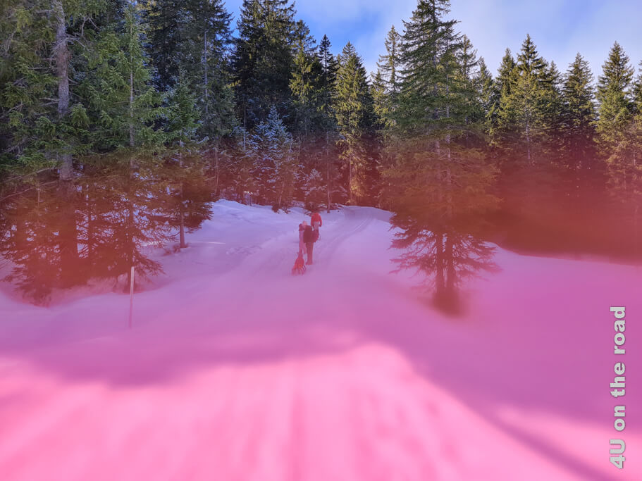 Mit den Farbfolien zu spielen, ist eine Aufgabe des Fototrails Sörenberg. Hier verwende ich die rote Folie um den Schnee im Vordergrund rosa zu färben, während die Bäume grün und der Himmel blau bleibt.
