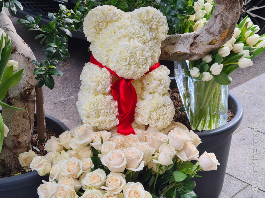 Ein Teddy komplett aus weissen Rosenblüten mit roter Schleife wird von weissen Tulpen und cremefarbenen Rosen flankiert. - Frühling in Lugano