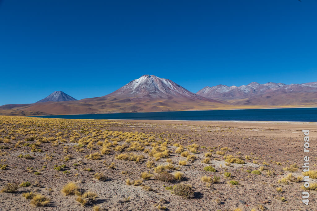 Die Laguna Miscanti ist ein blauer See mit weissen Salzrändern, gerahmt von schneebedeckten Vulkanen. Sehenswürdigkeit Atacama Wüste