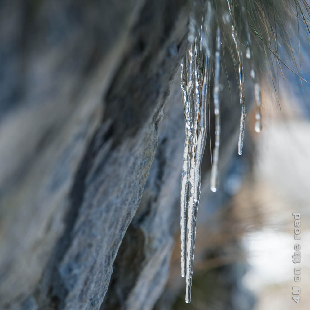 Gefrorene Grashalme am Hang bilden durch Schmelzwasser lange Eiszapfen und sind überall auf dem Weg zum Sambuco Stausee zu finden.