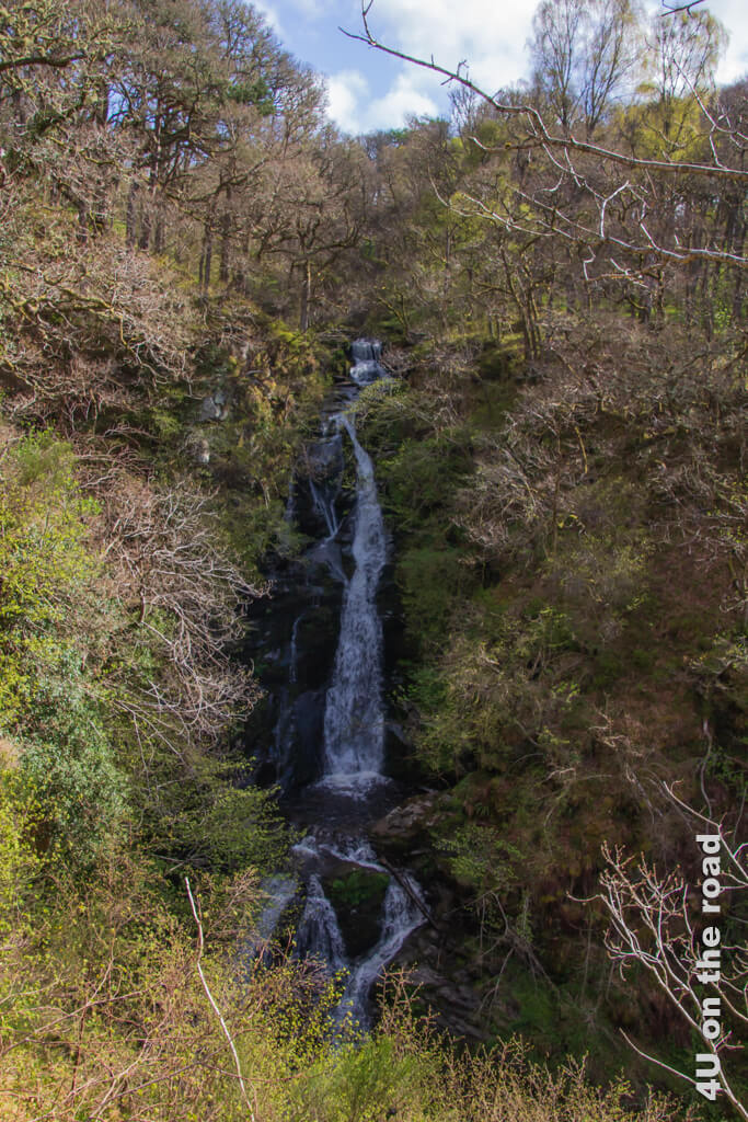 Der Black Spout Wasserfall fällt mitten im Wald knapp 59 m in die Tiefe.