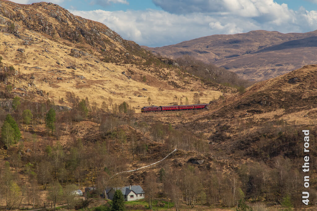 Die roten Wagons des Jacobite Steam Train verschwinden in der Landschaft und bilden einen Kontrast zu den Hügeln, deren Gras noch gelb ist.