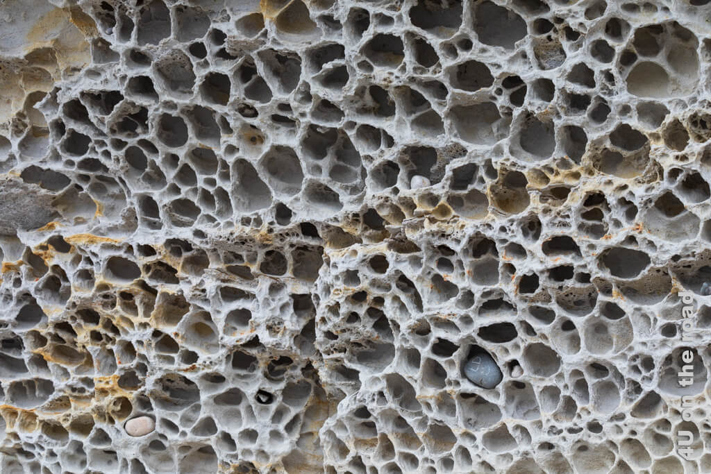 Die Anordnung der Löcher im Felsen erinnert an Honigwaben.